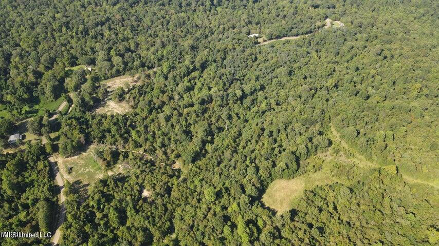 0 Judkins Road Property Photo 23