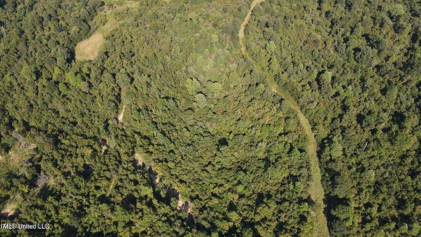 0 Judkins Road Property Photo 29
