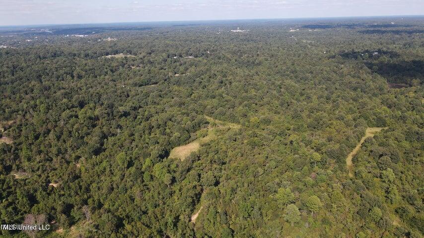 0 Judkins Road Property Photo 33