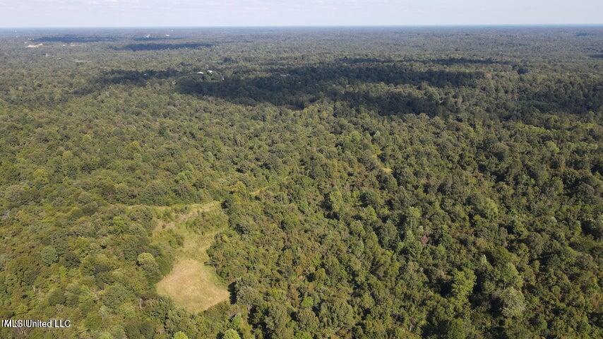0 Judkins Road Property Photo 36