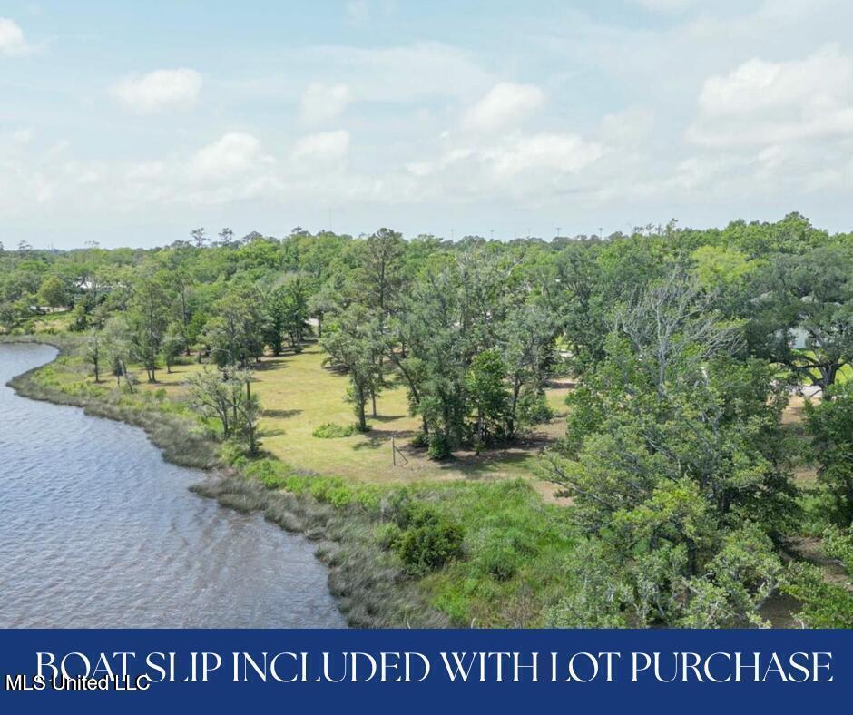 Lot 17 Savannah Estates Boulevard Property Photo 1