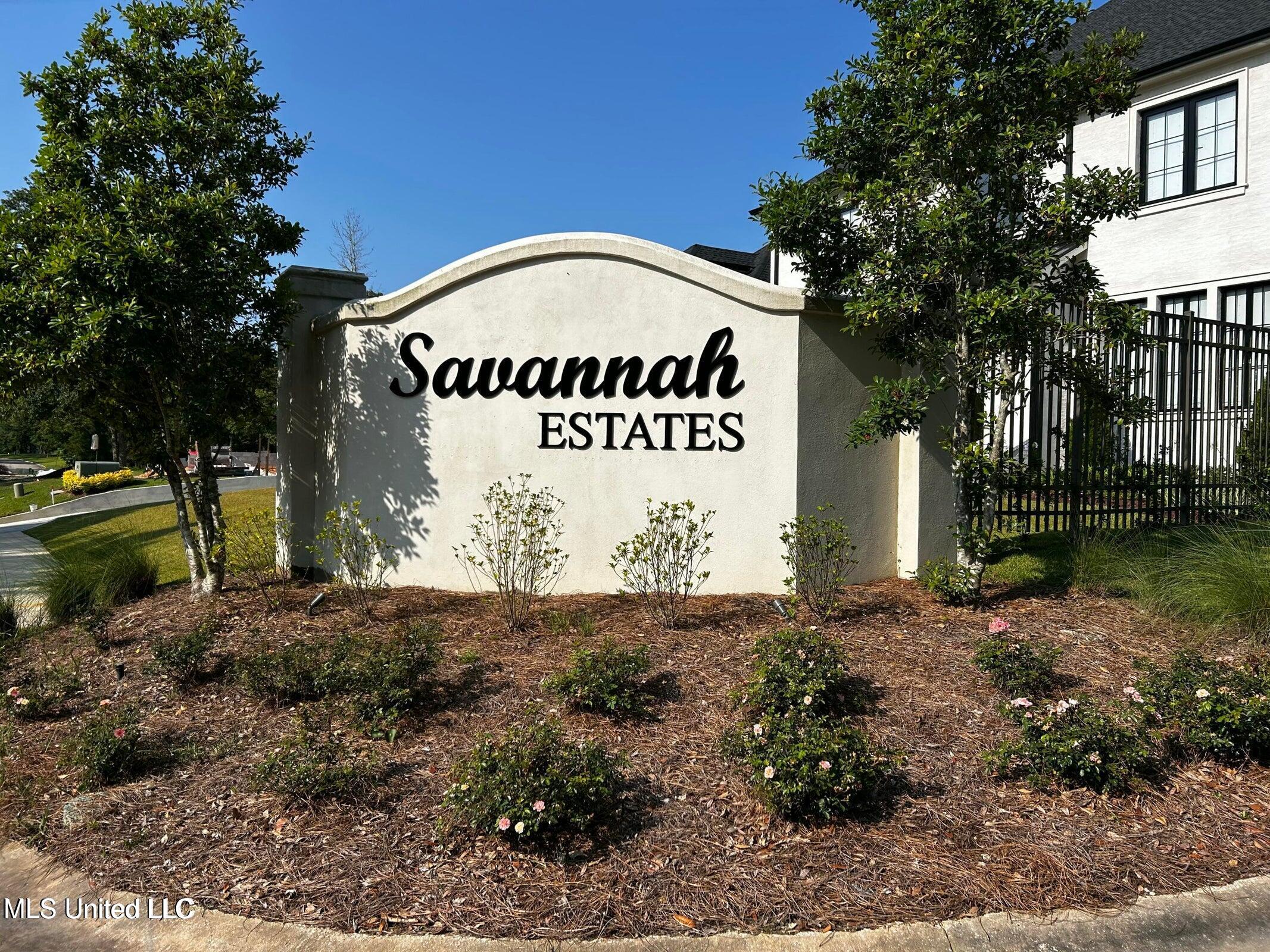 Lot 17 Savannah Estates Boulevard Property Photo 3