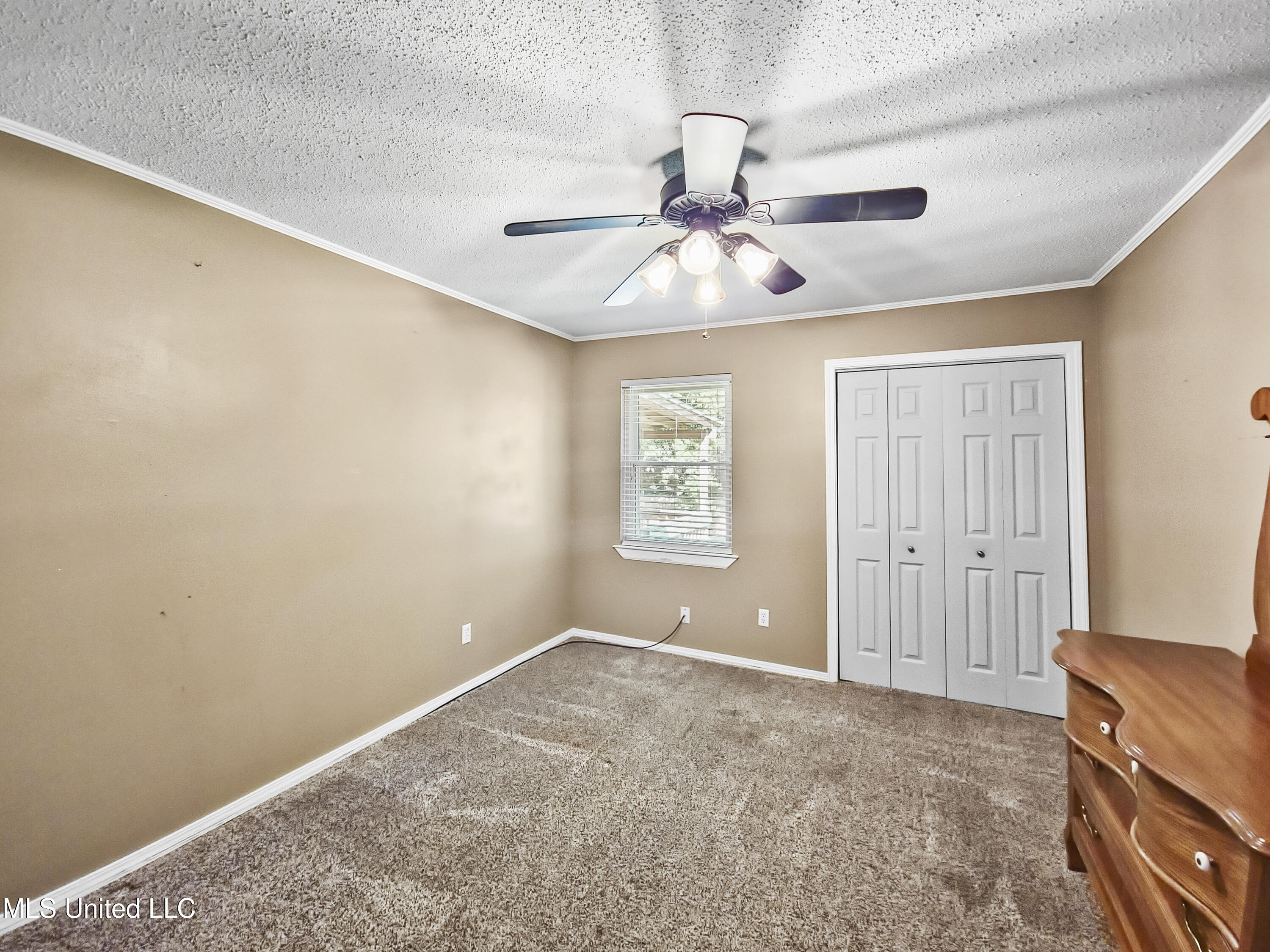 1334 Diller Road Property Photo 13
