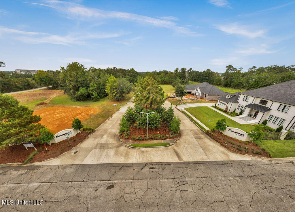 Lot 33 Savannah Estates Boulevard Property Photo 21