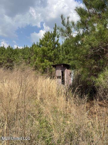0 Honeysucker Road Property Photo 5