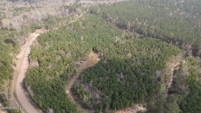 Honeysucker Road Property Photo 1