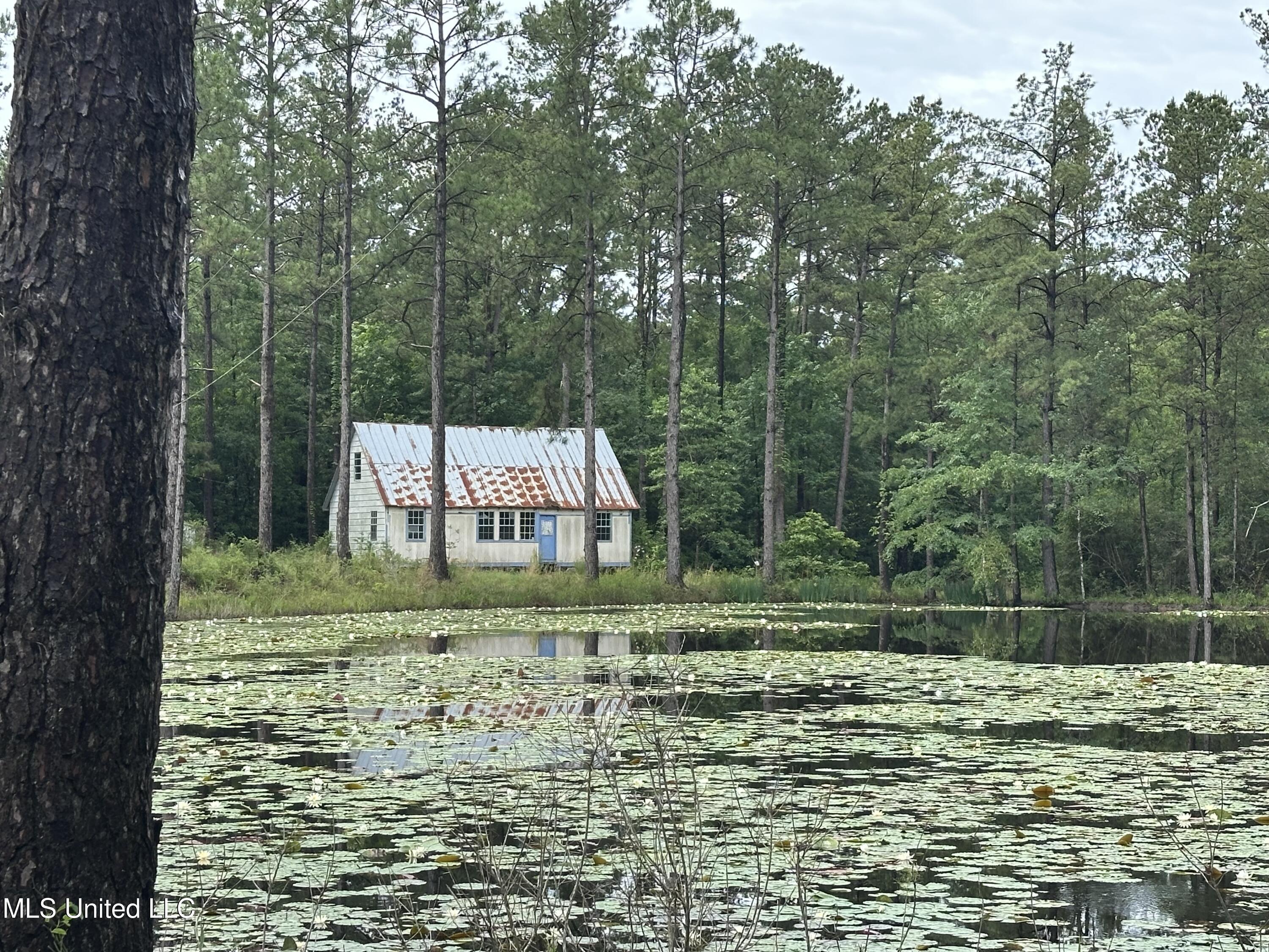 261 Tom Chance Road Property Photo 1