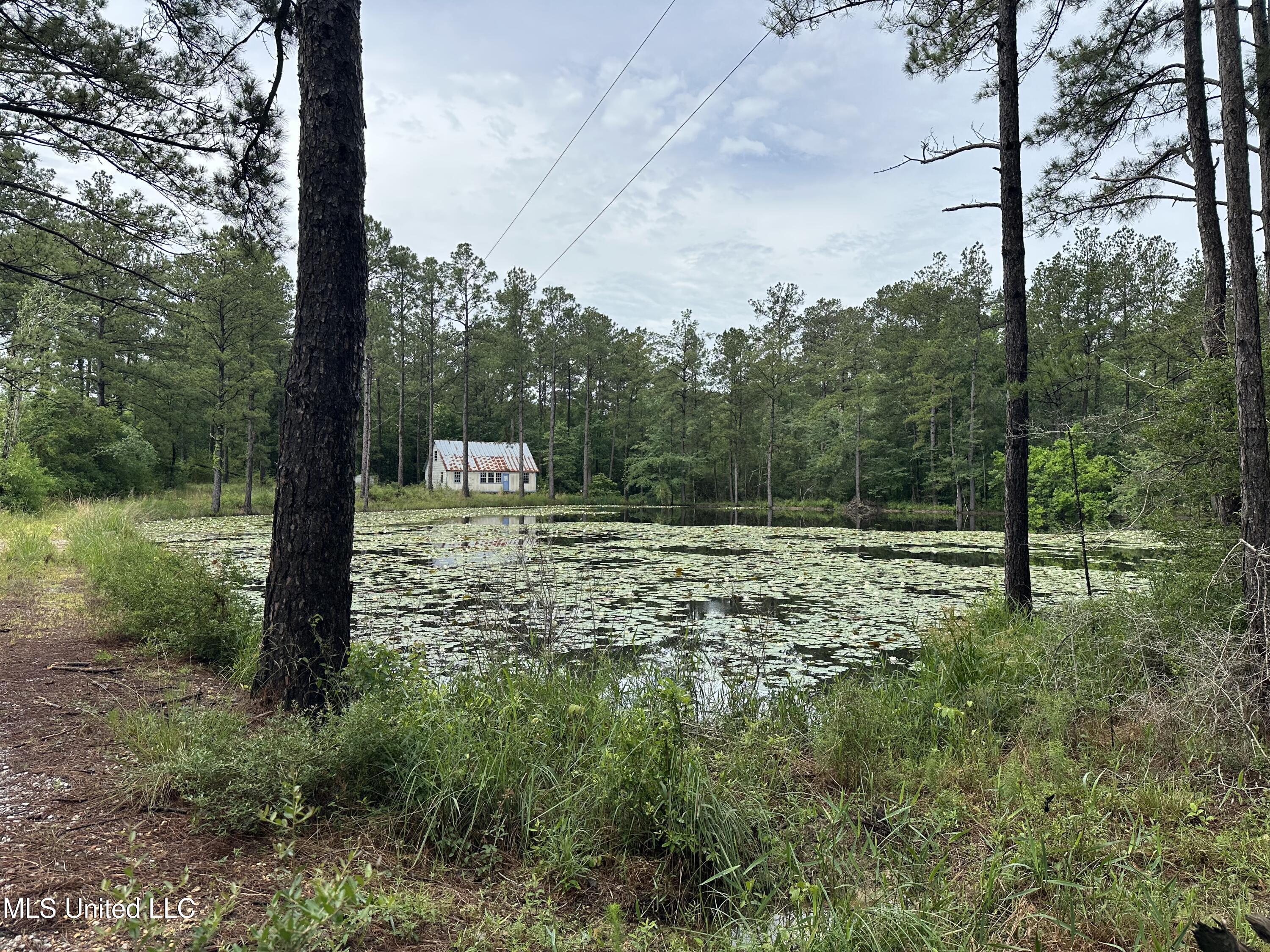 261 Tom Chance Road Property Photo 2