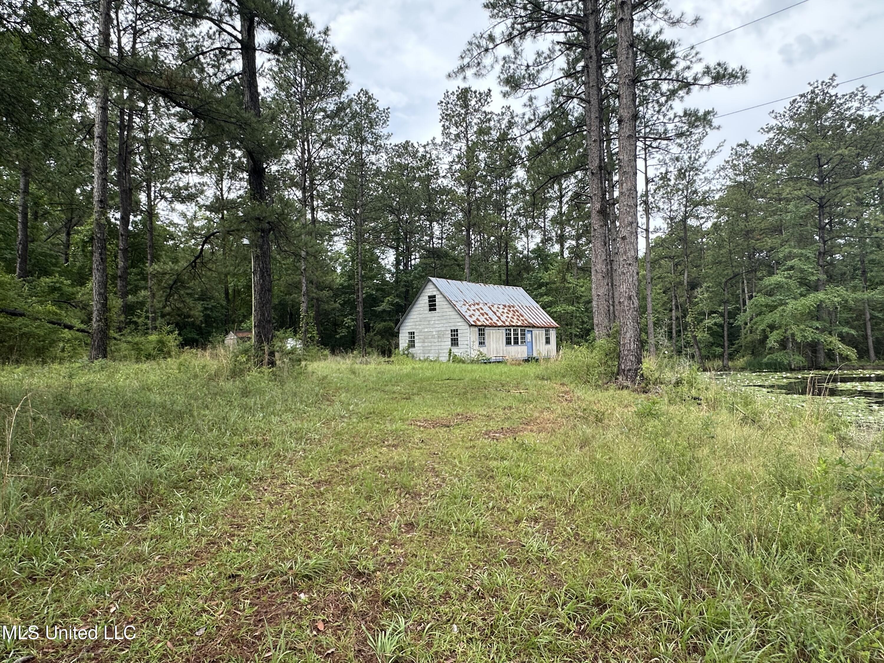261 Tom Chance Road Property Photo 4