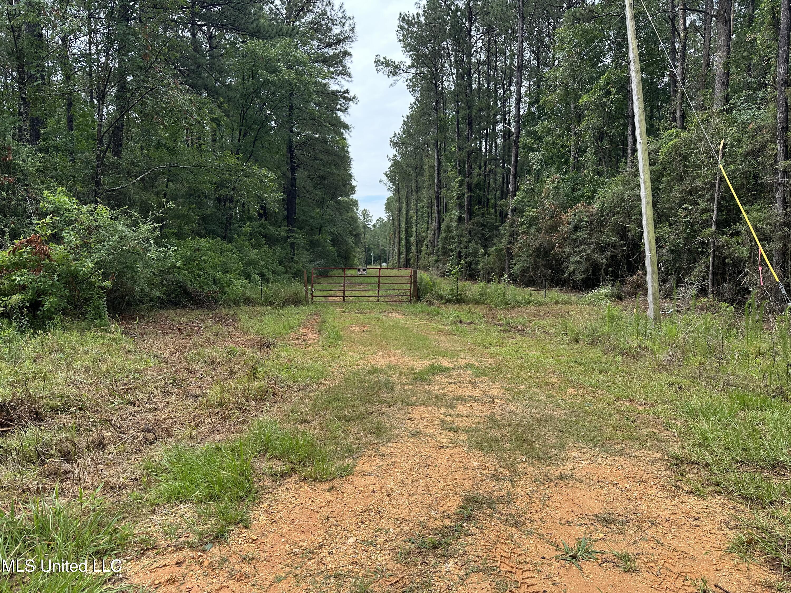 261 Tom Chance Road Property Photo 8