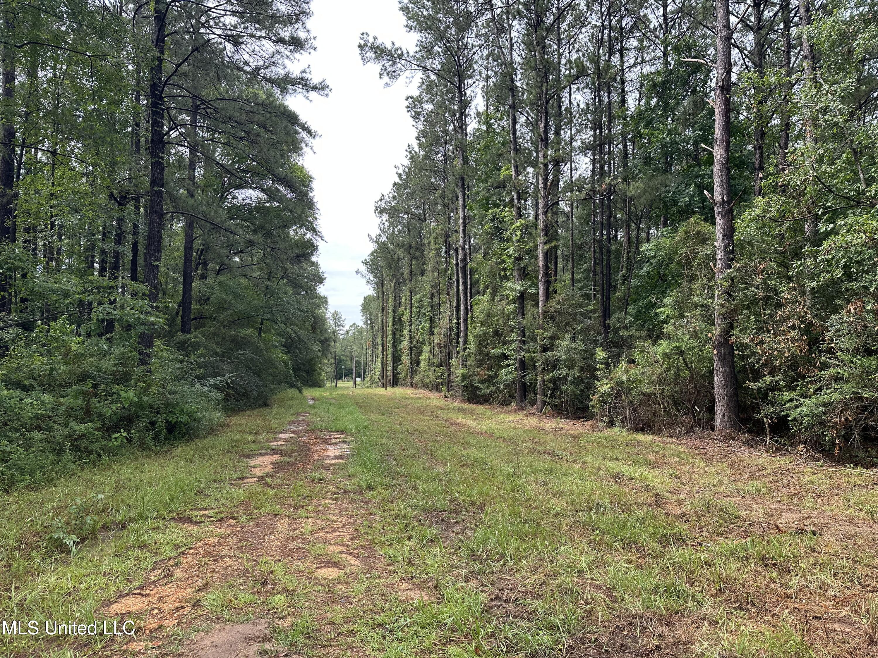 261 Tom Chance Road Property Photo 11