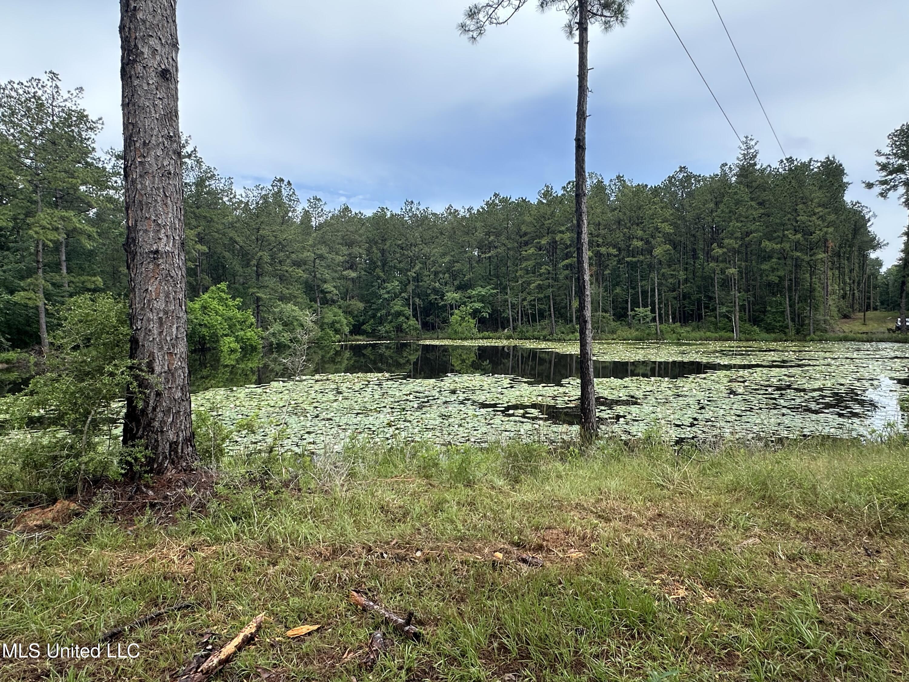 261 Tom Chance Road Property Photo 12