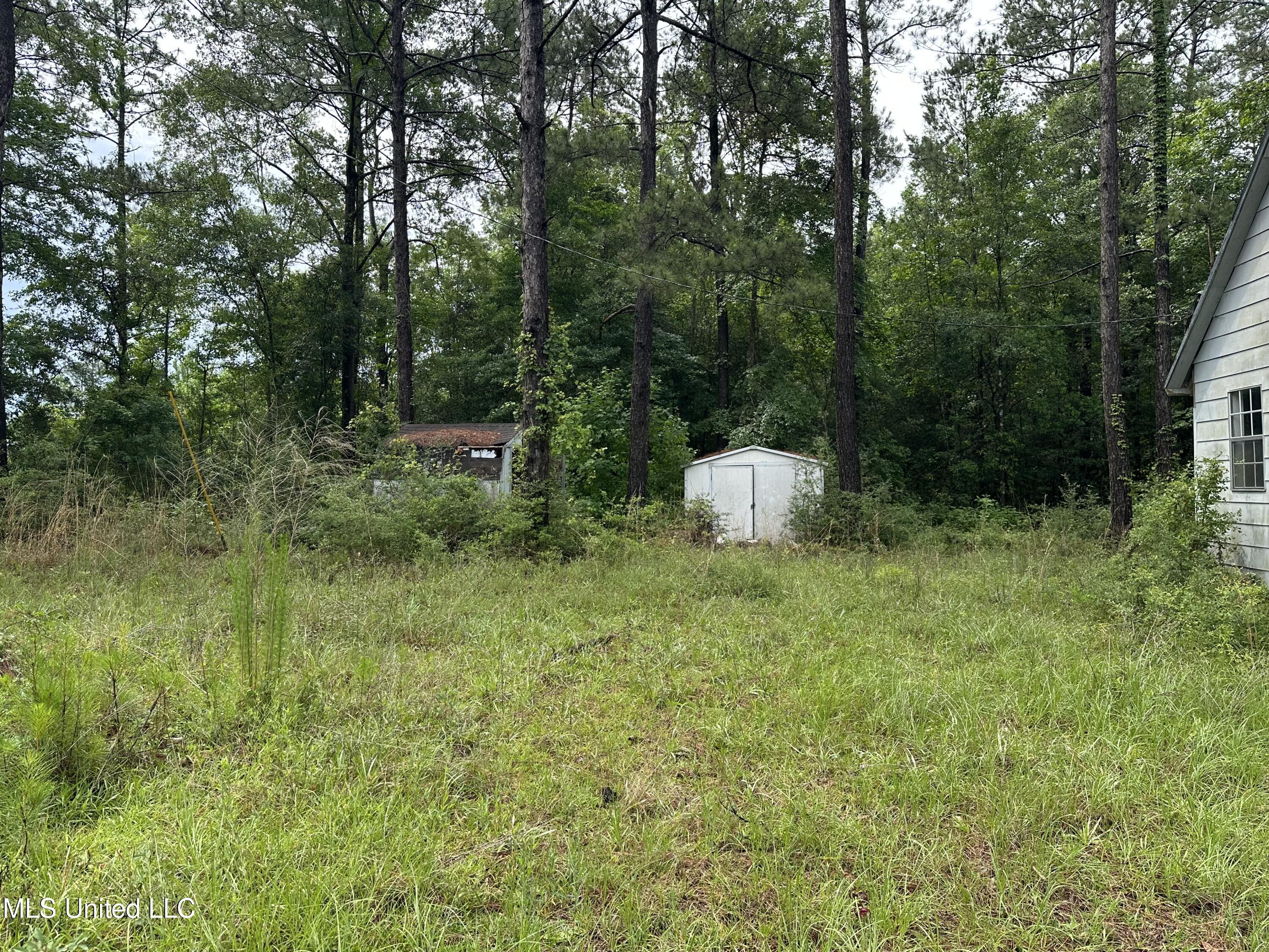 261 Tom Chance Road Property Photo 13