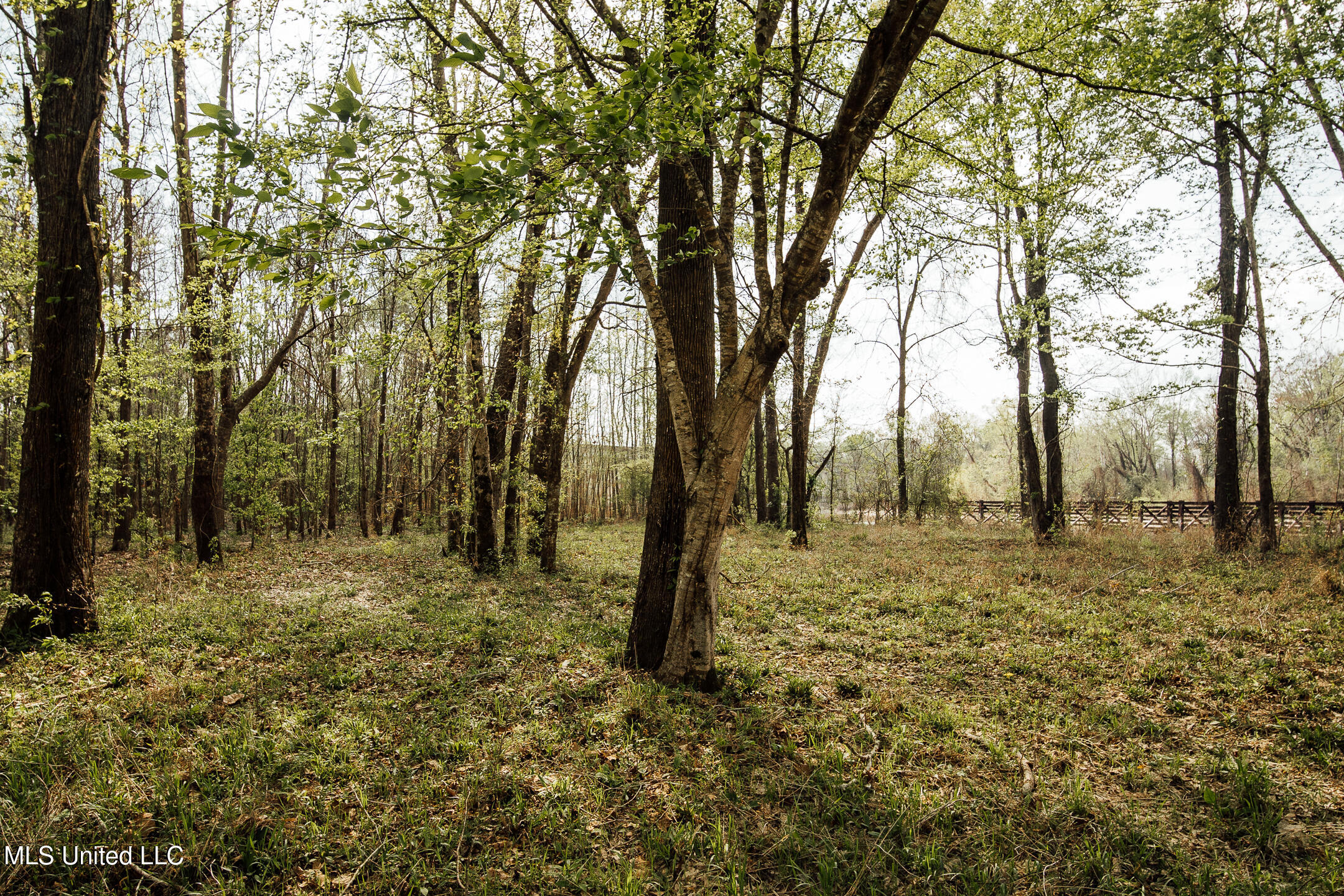 168 Adams Werner Road Road Property Photo 36