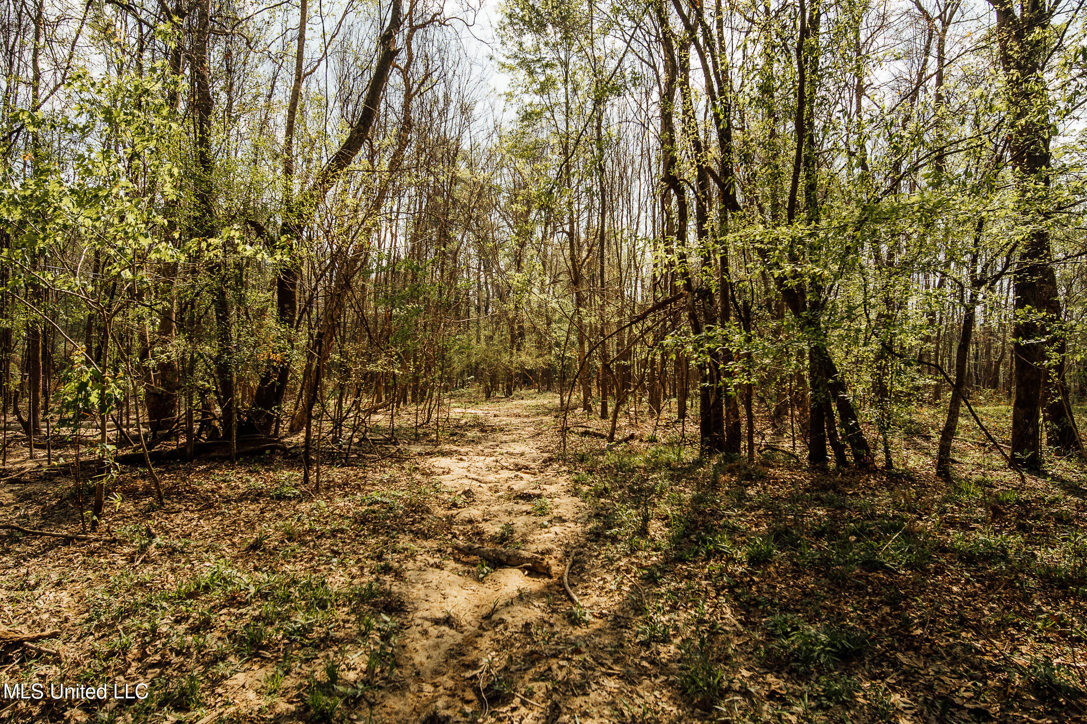 168 Adams Werner Road Road Property Photo 37