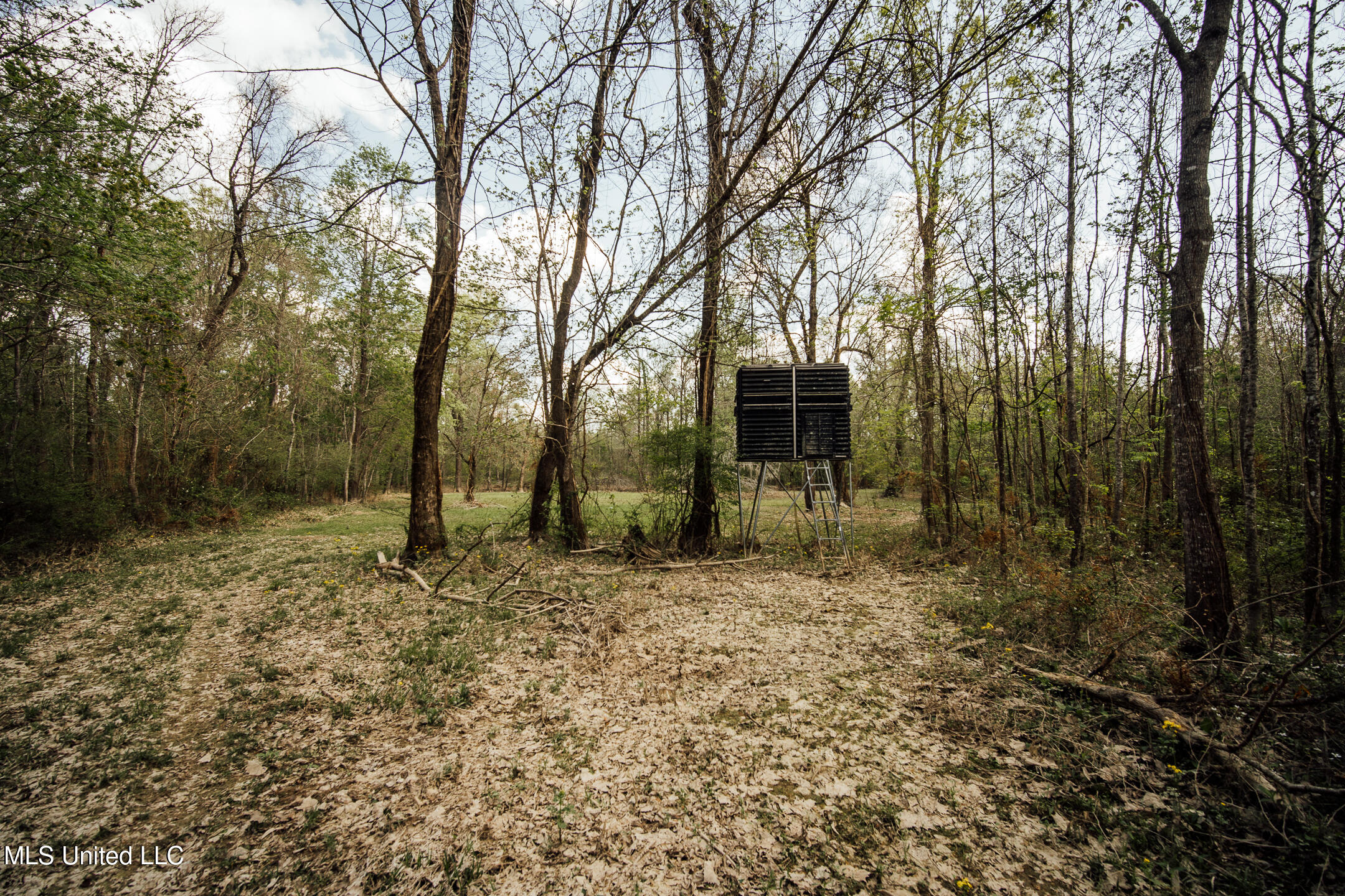 168 Adams Werner Road Road Property Photo 46