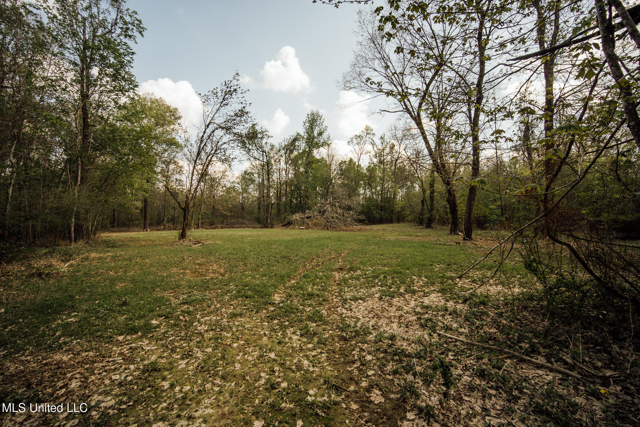 168 Adams Werner Road Road Property Photo 47