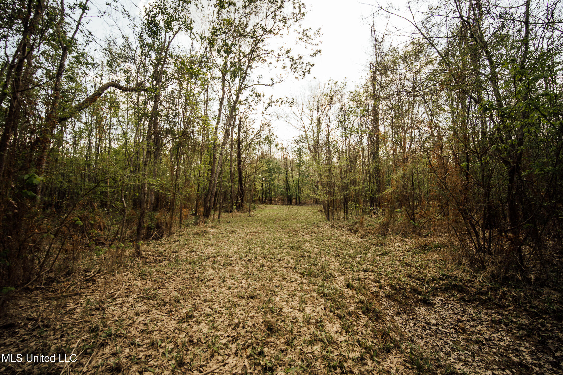 168 Adams Werner Road Road Property Photo 48
