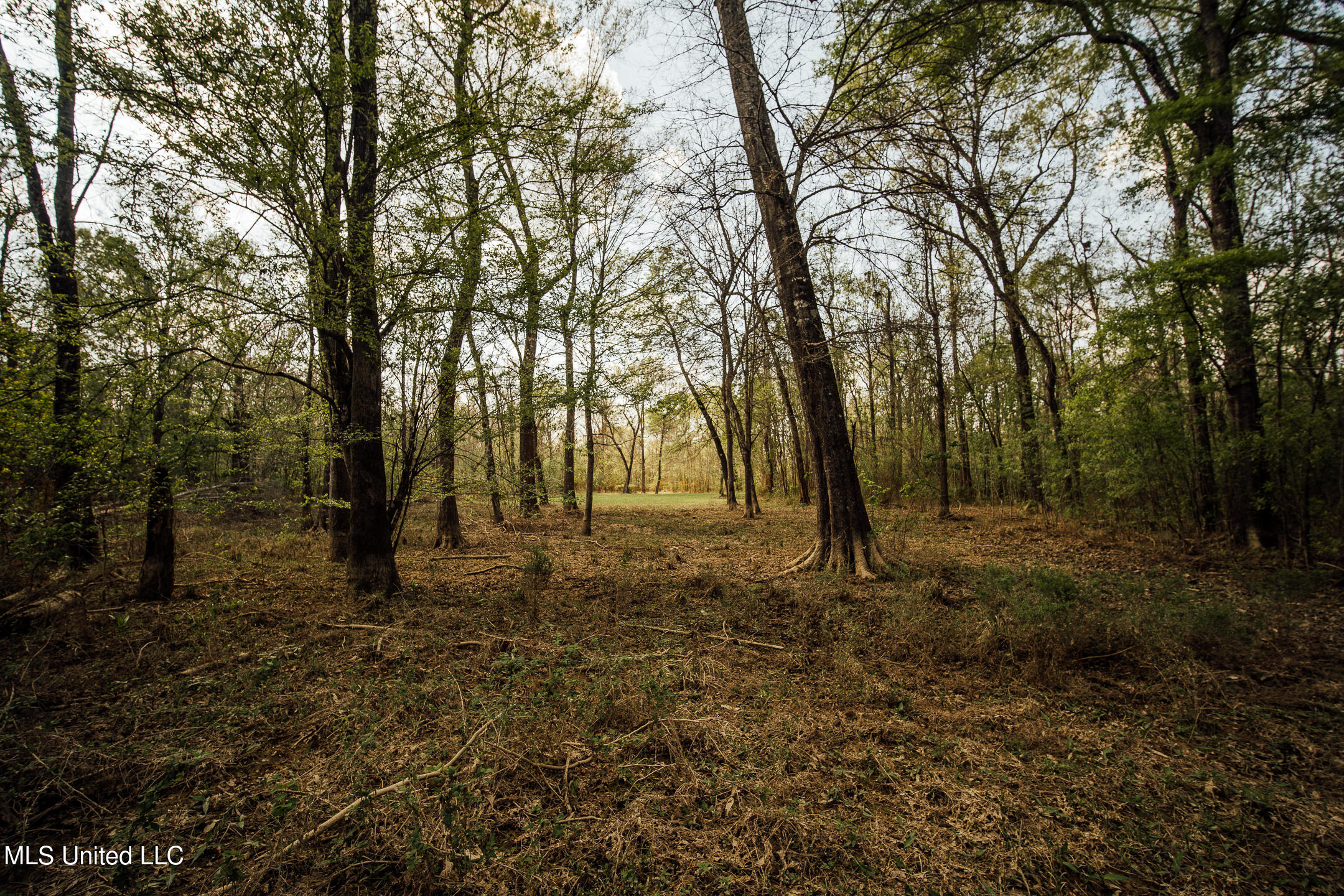 168 Adams Werner Road Road Property Photo 51