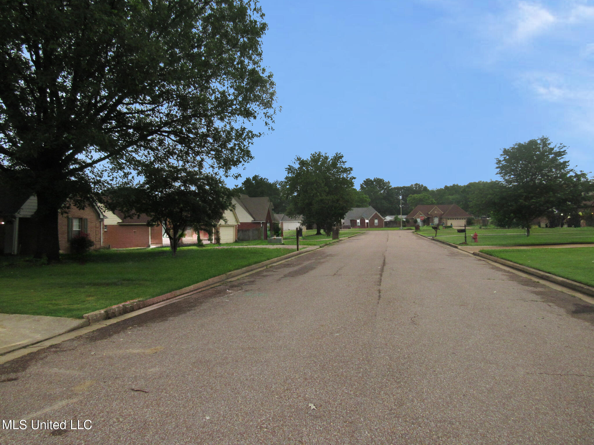 6933 Fox Briar Cove Property Photo 8