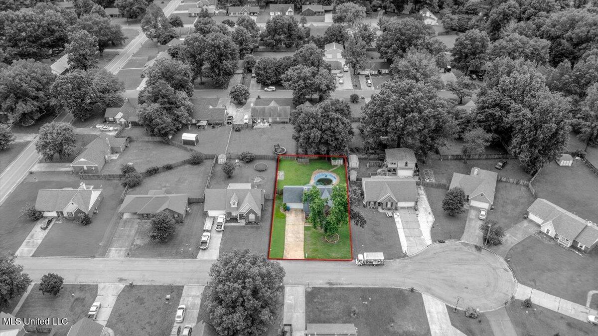 6933 Fox Briar Cove Property Photo 28