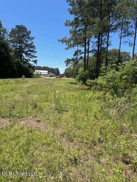 2423a E Lincoln Road Property Photo 2