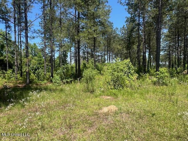 2423a E Lincoln Road Property Photo 5