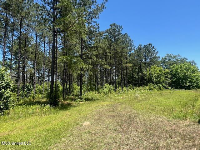 2423a E Lincoln Road Property Photo 6