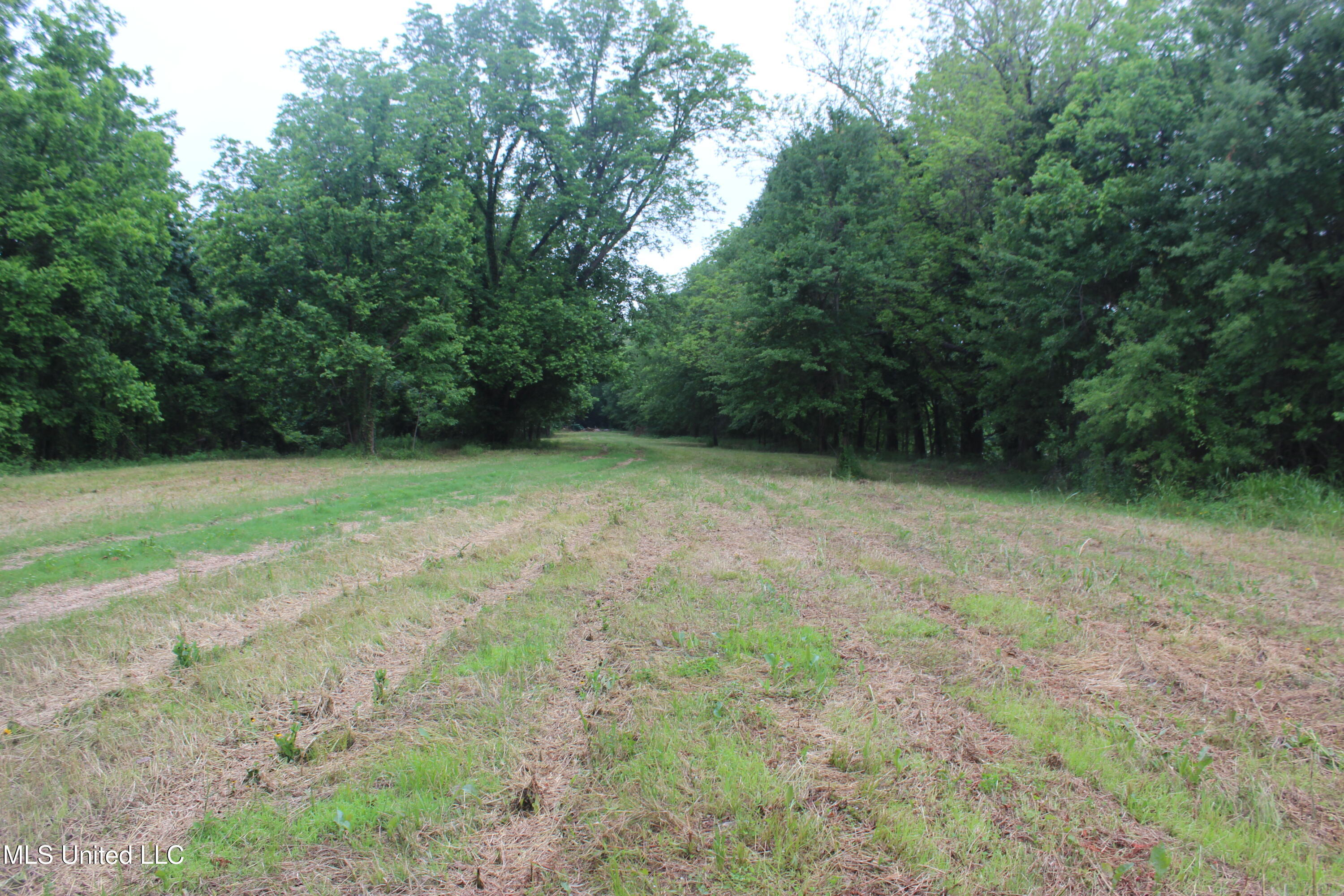 001 Levee Road Road Property Photo 2