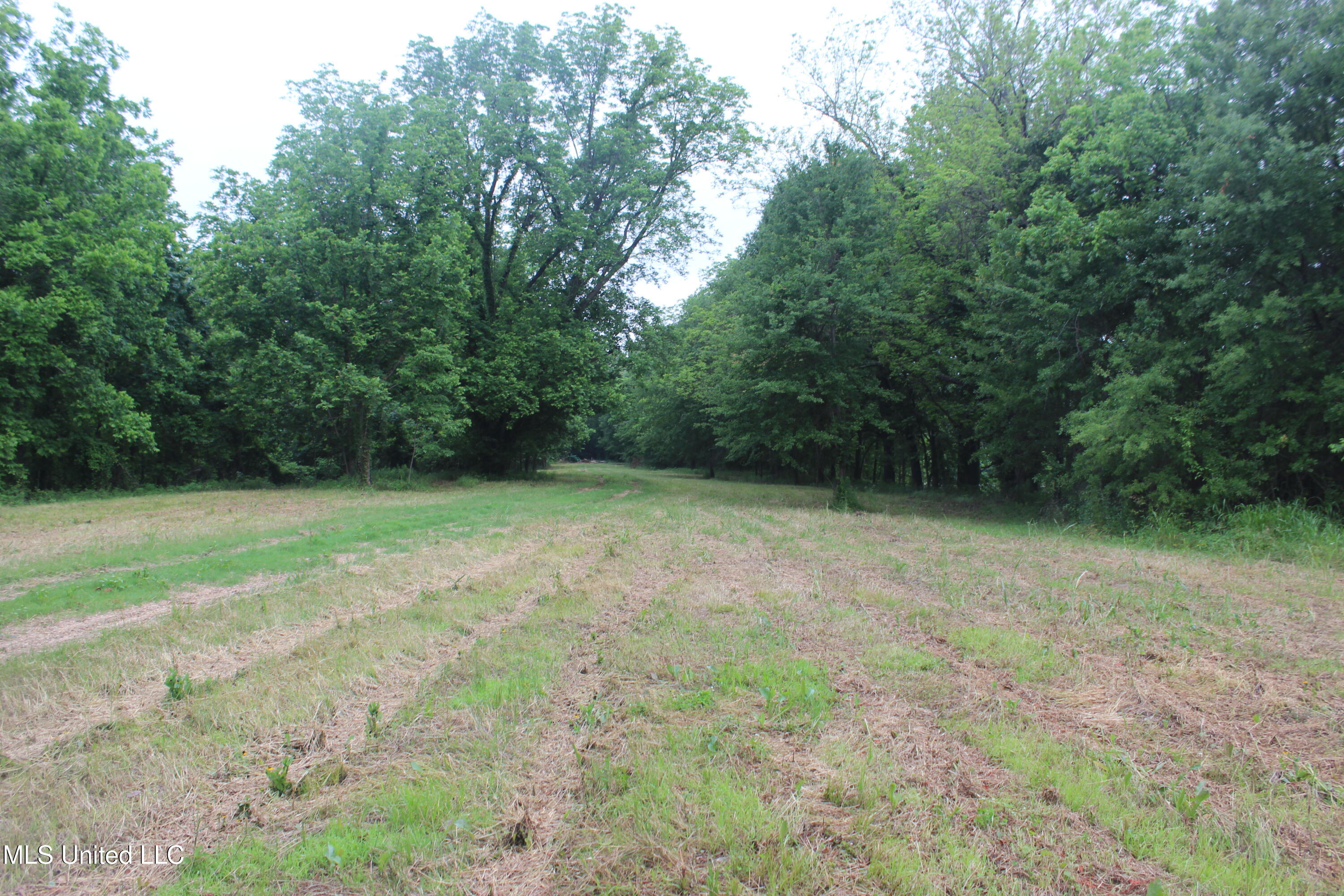 001 Levee Road Road Property Photo 3