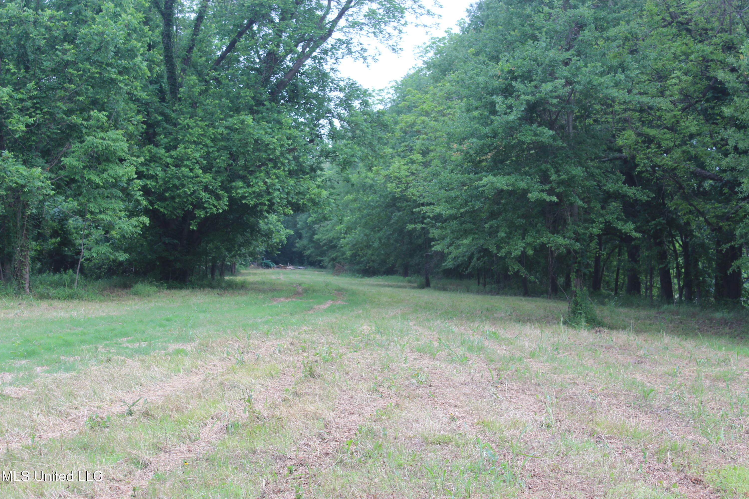 001 Levee Road Road Property Photo 4