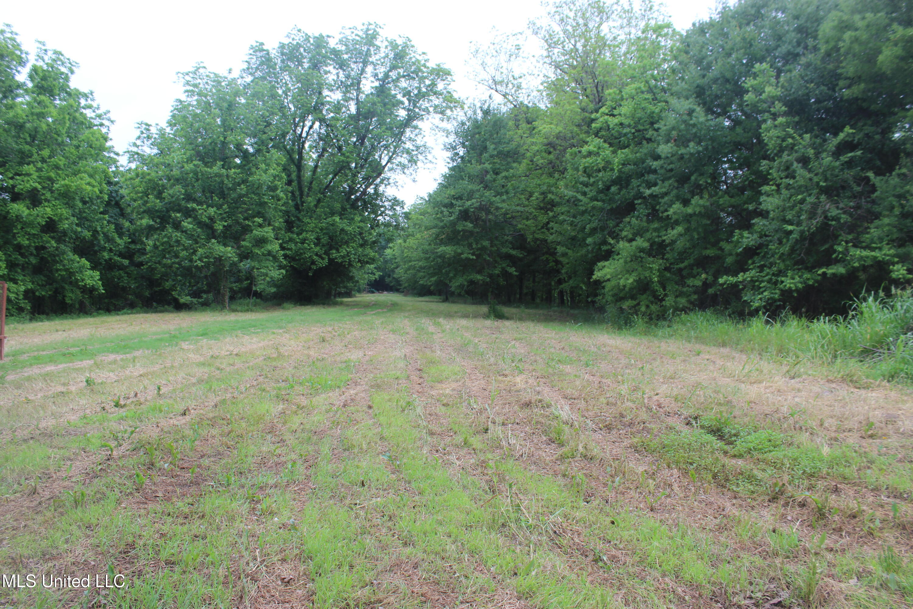 001 Levee Road Road Property Photo 5