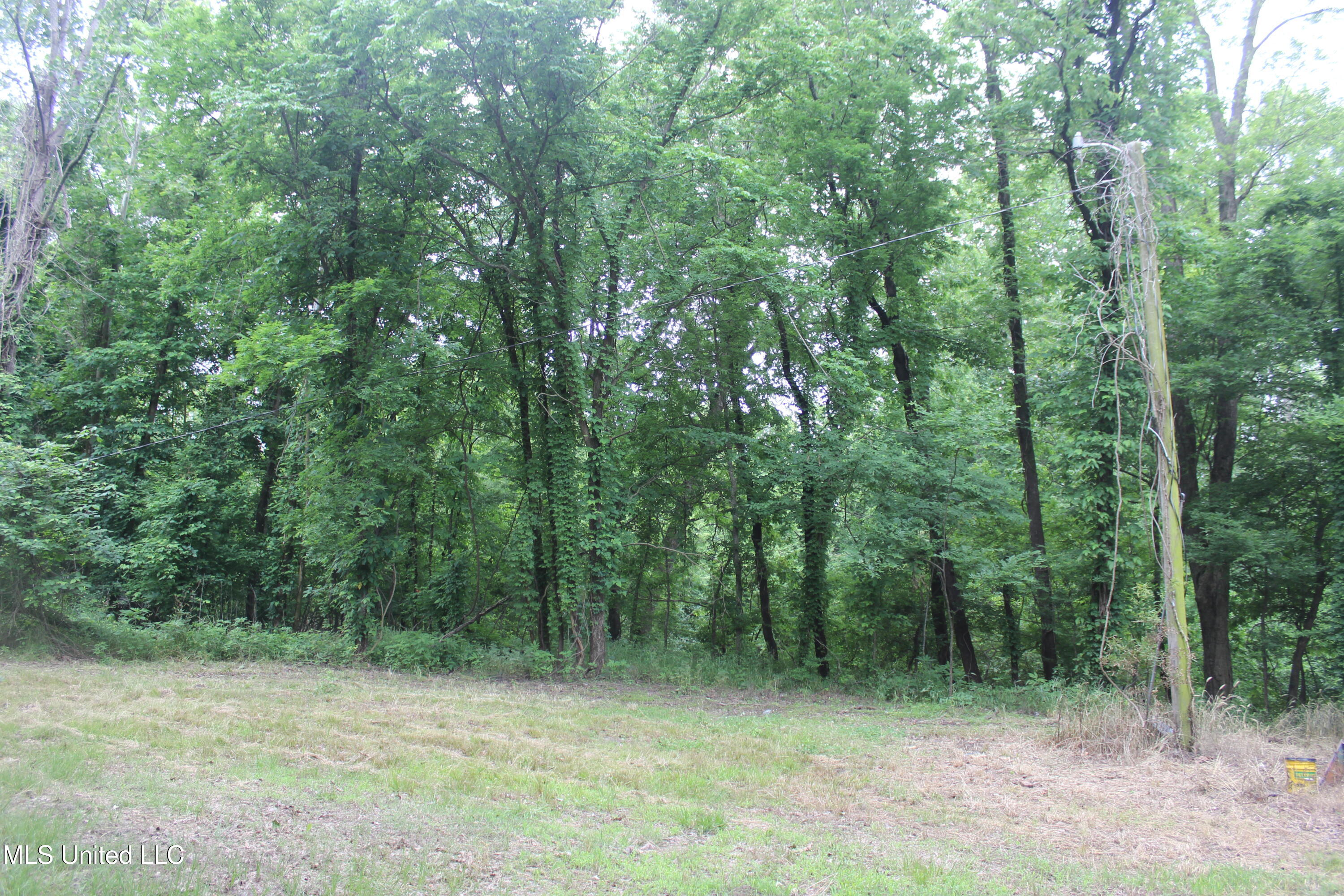 001 Levee Road Road Property Photo 6