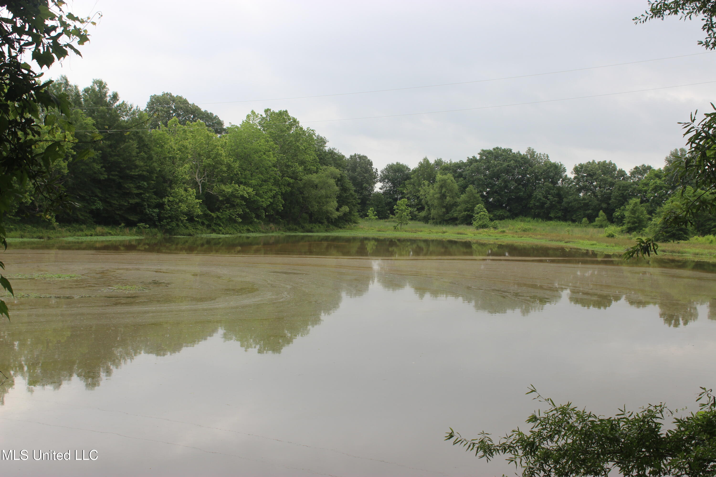 001 Levee Road Road Property Photo 8