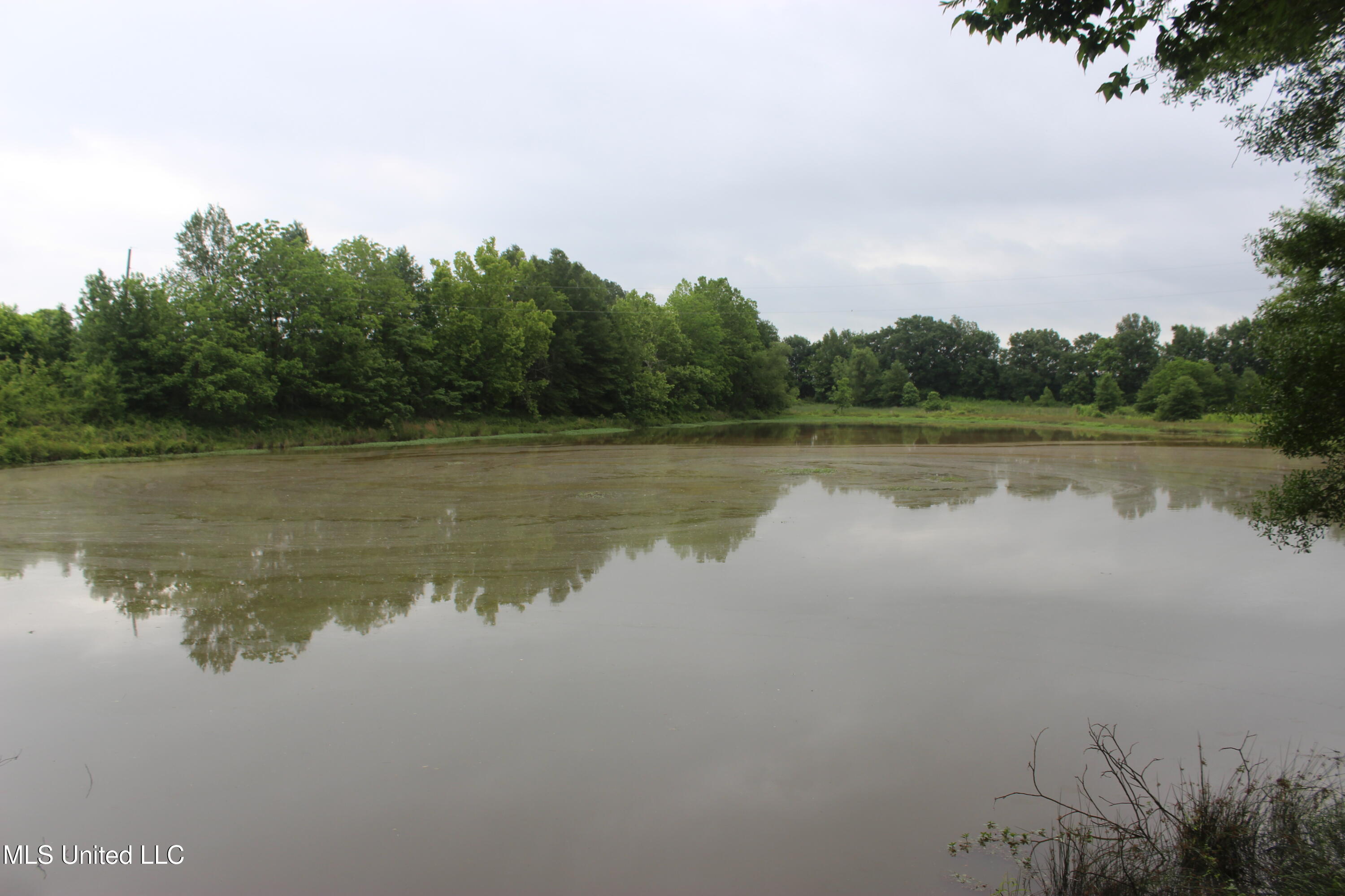 001 Levee Road Road Property Photo 9