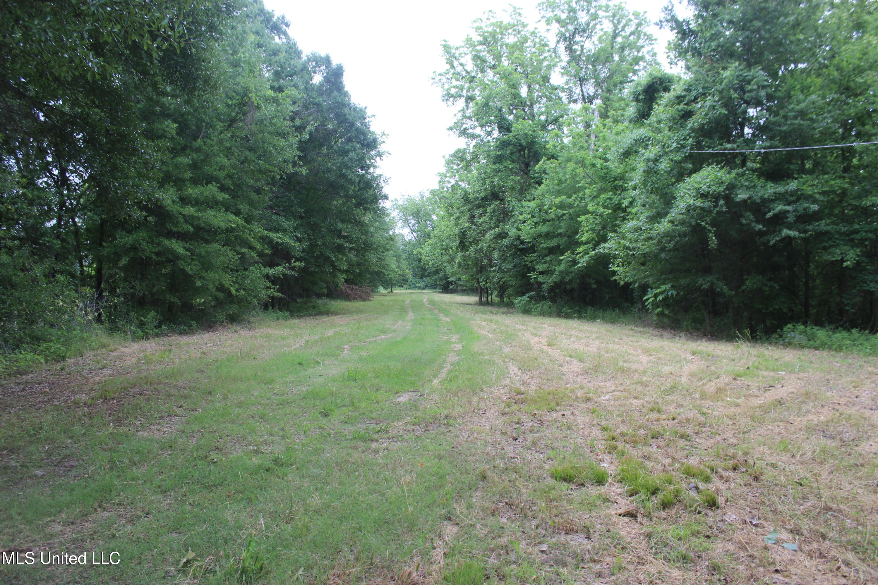 001 Levee Road Road Property Photo 12