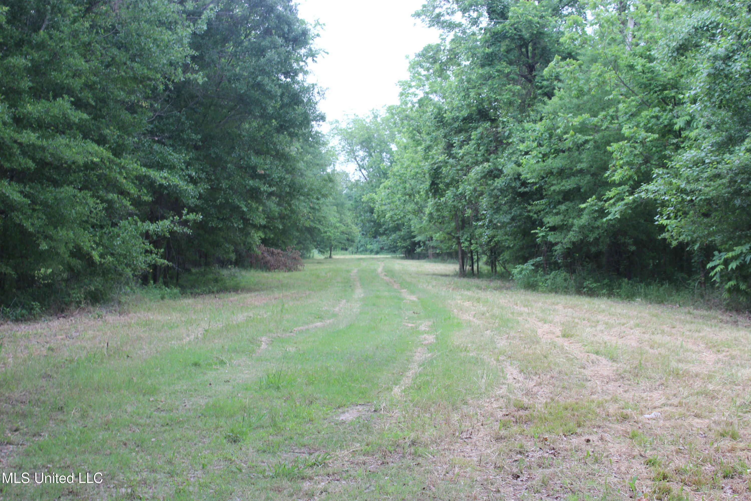 001 Levee Road Road Property Photo 13