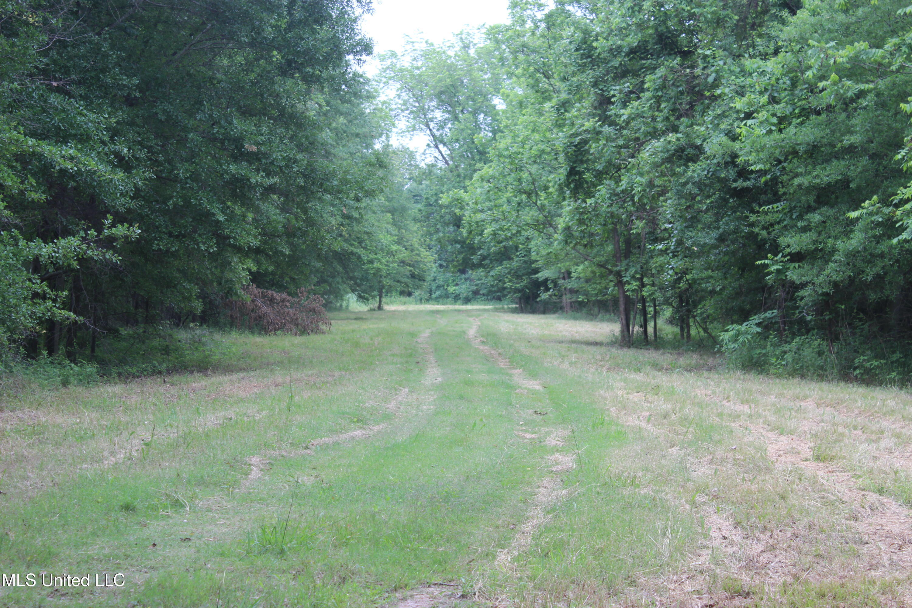 001 Levee Road Road Property Photo 14