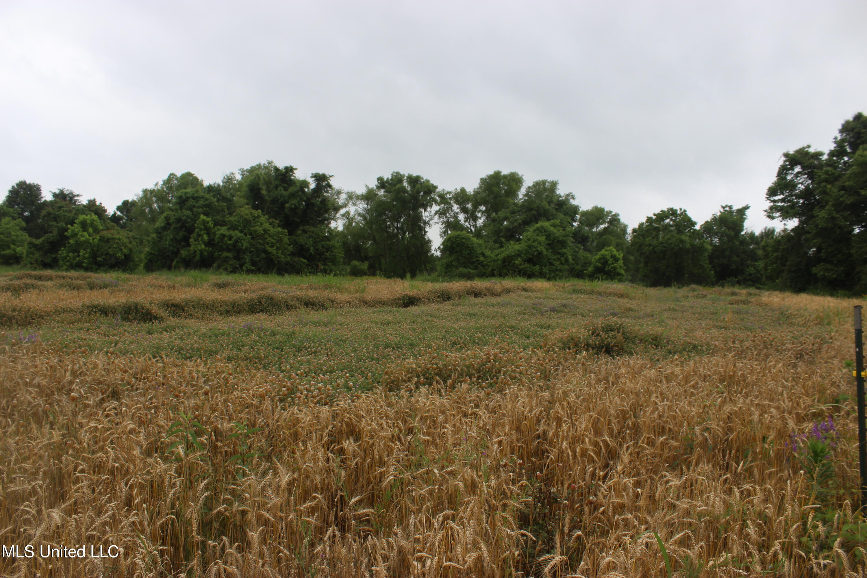 001 Levee Road Road Property Photo 18