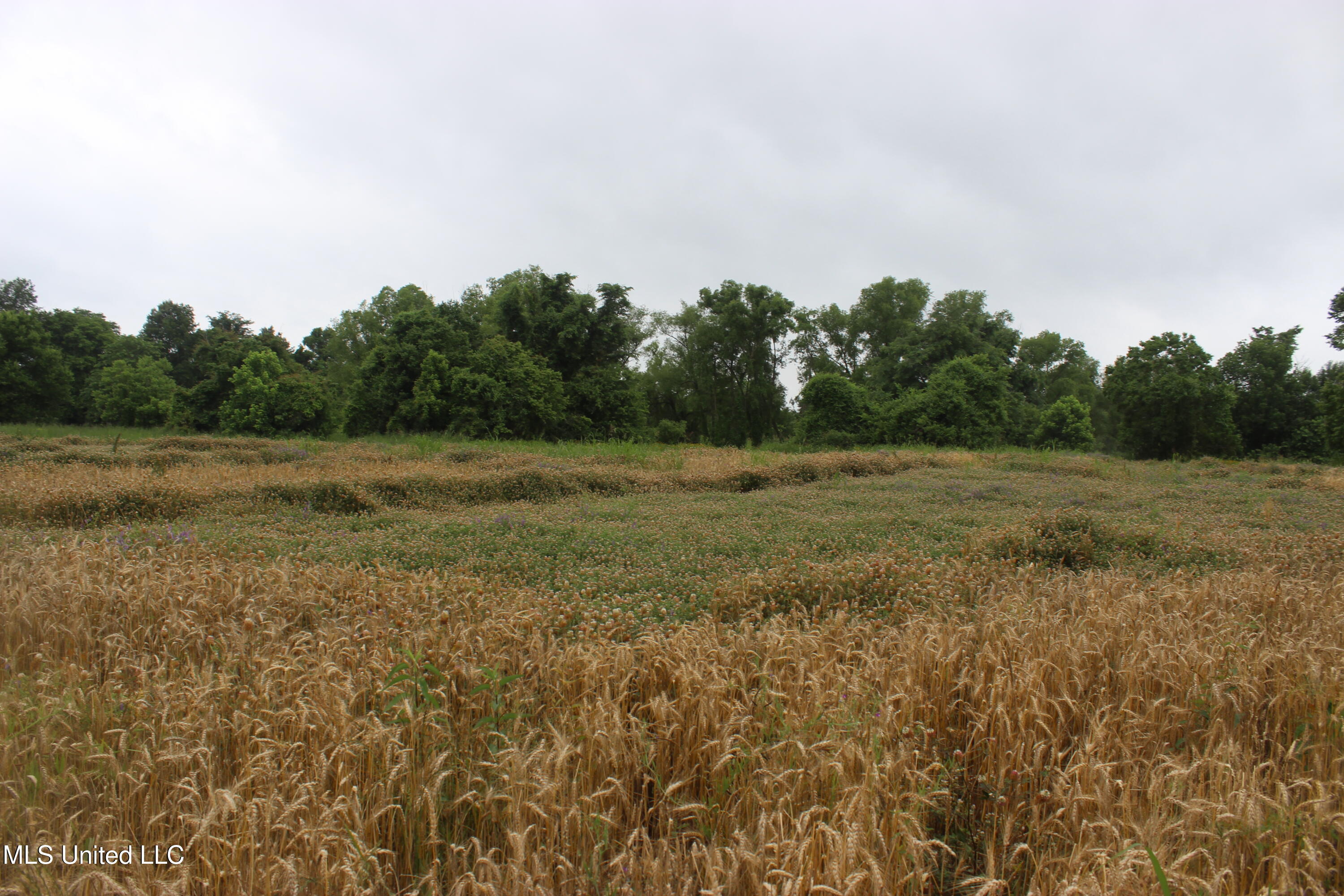 001 Levee Road Road Property Photo 19