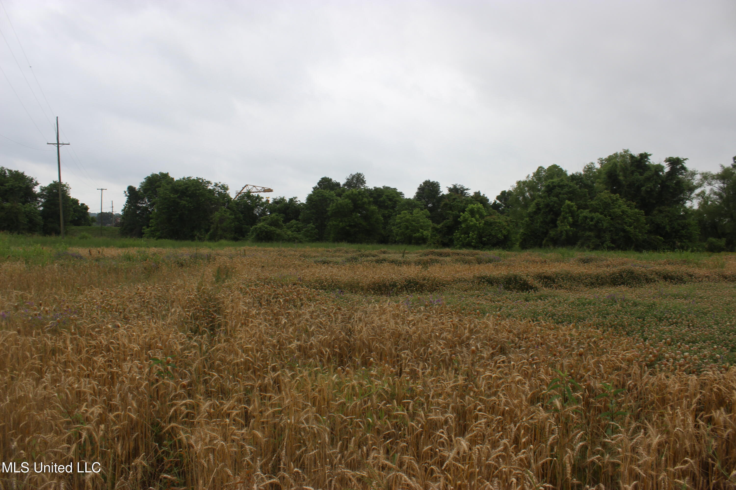 001 Levee Road Road Property Photo 20