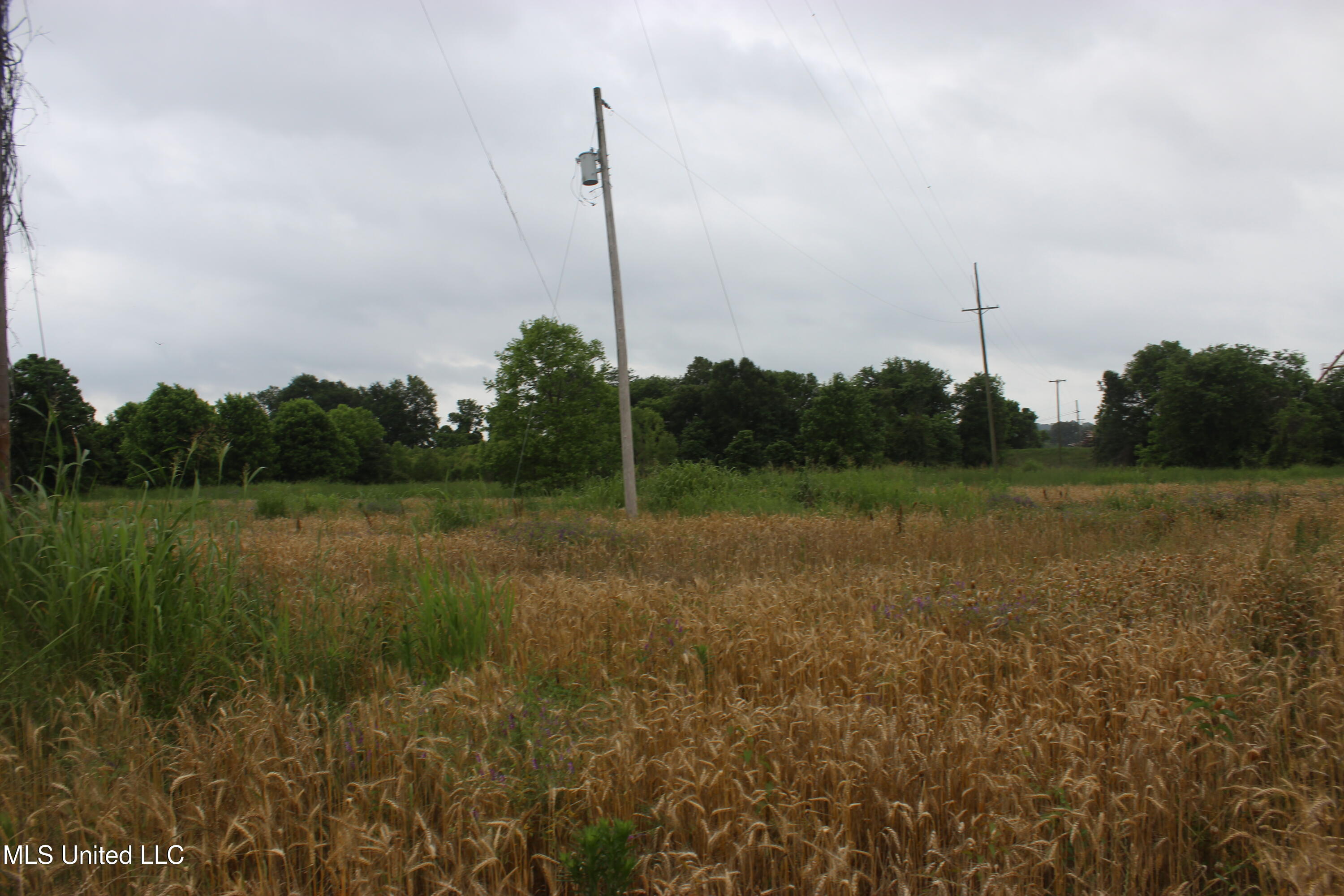 001 Levee Road Road Property Photo 21