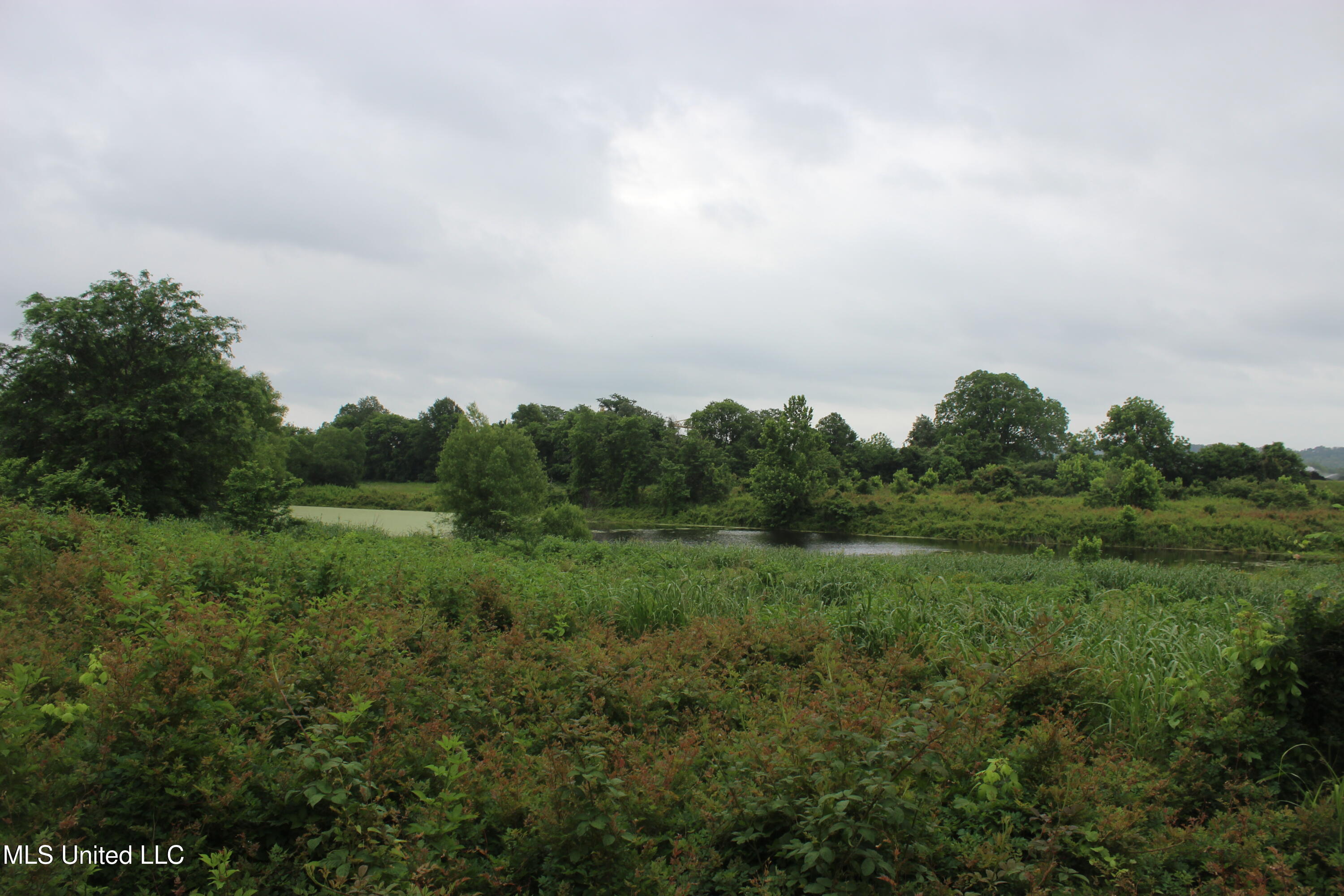 001 Levee Road Road Property Photo 23