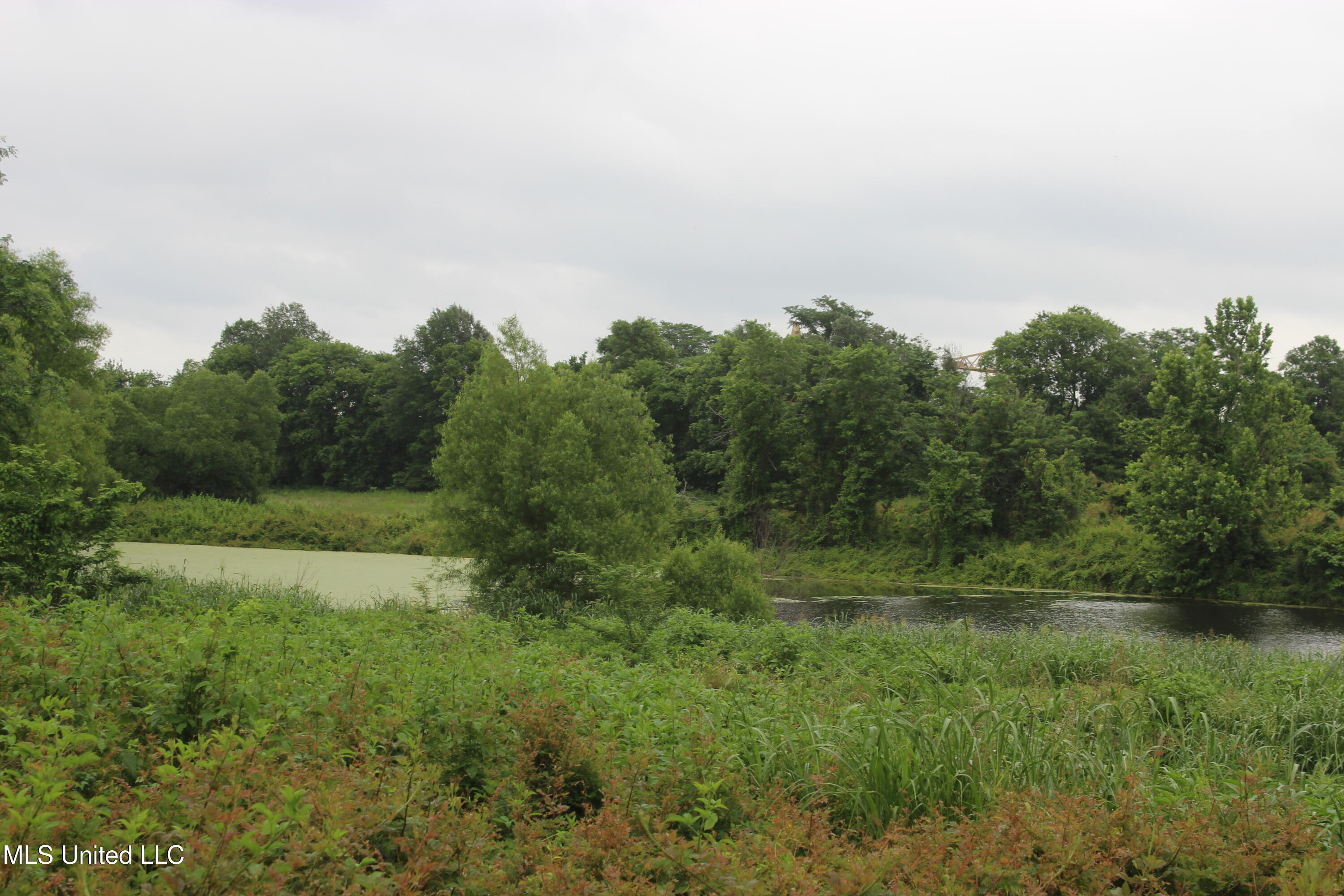 001 Levee Road Road Property Photo 24