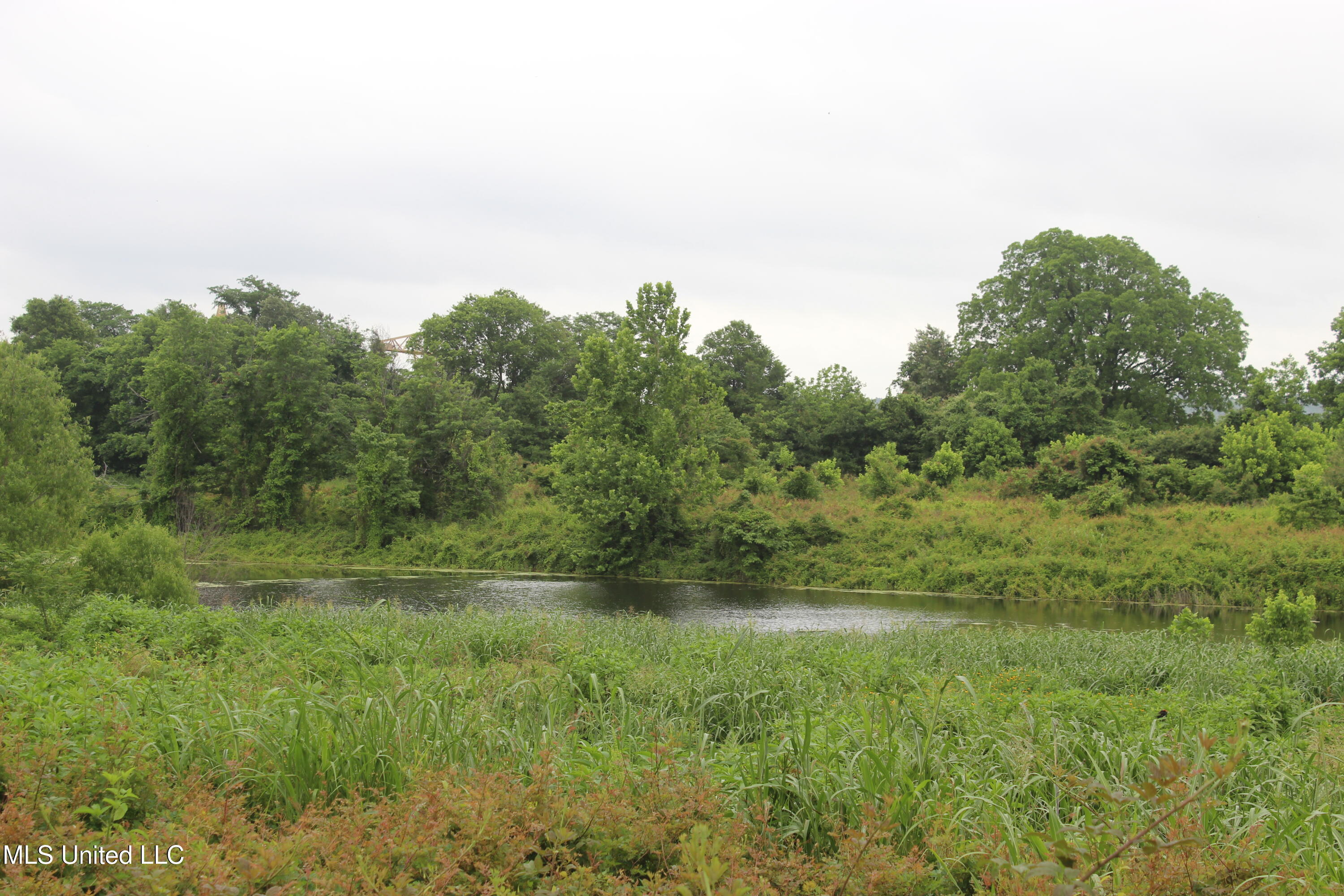 001 Levee Road Road Property Photo 25