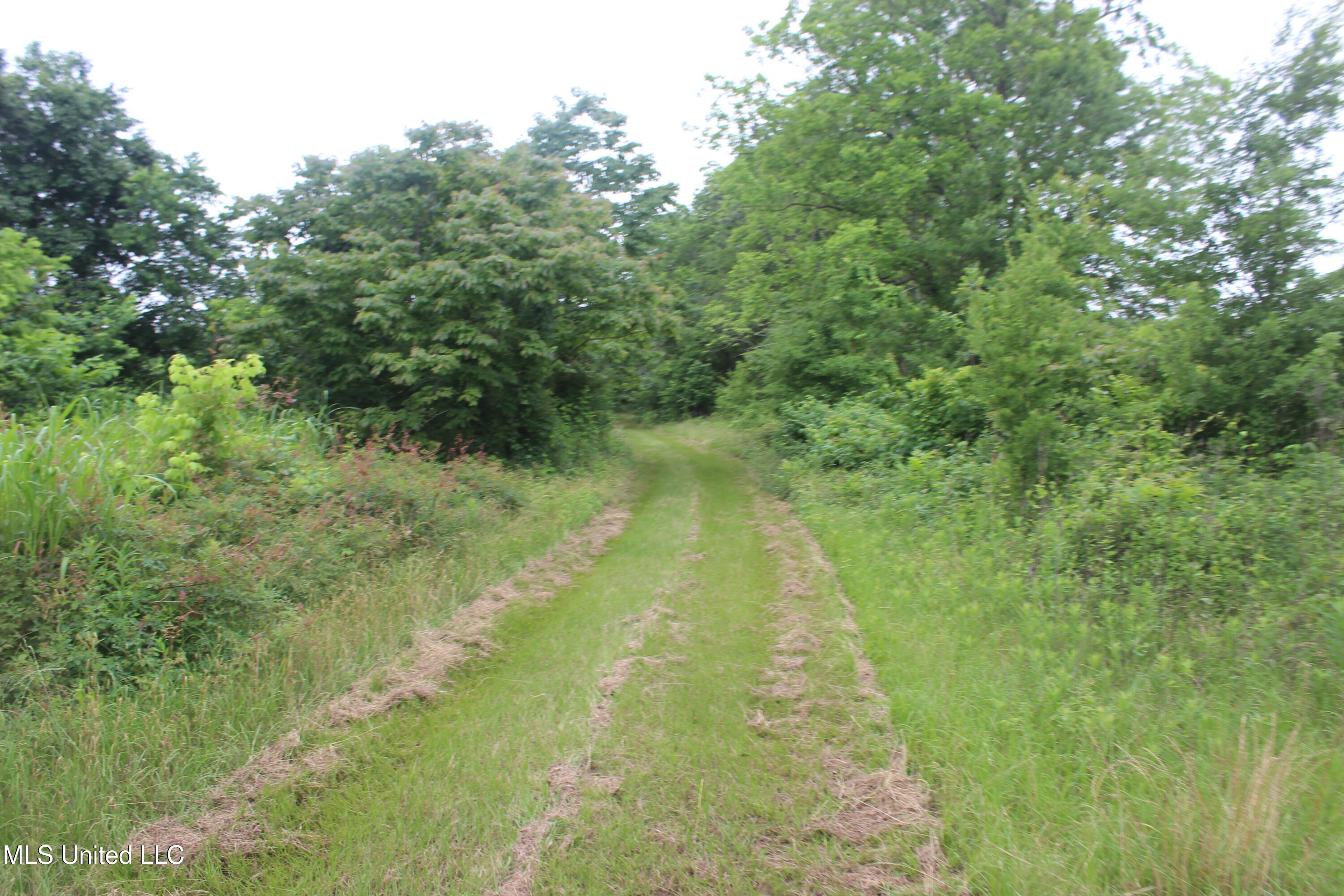 001 Levee Road Road Property Photo 26