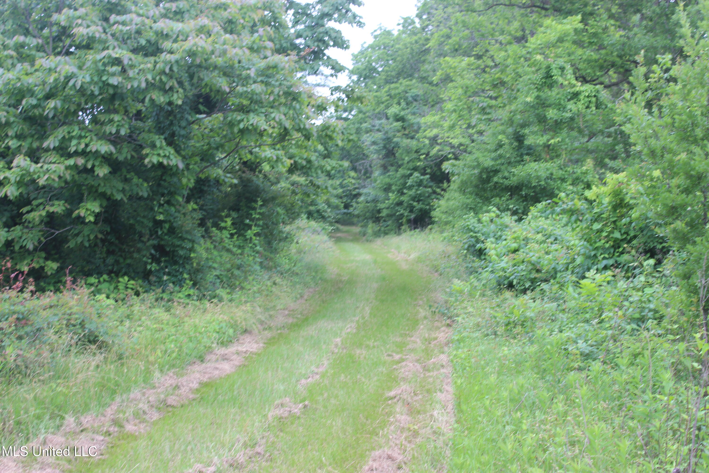 001 Levee Road Road Property Photo 27