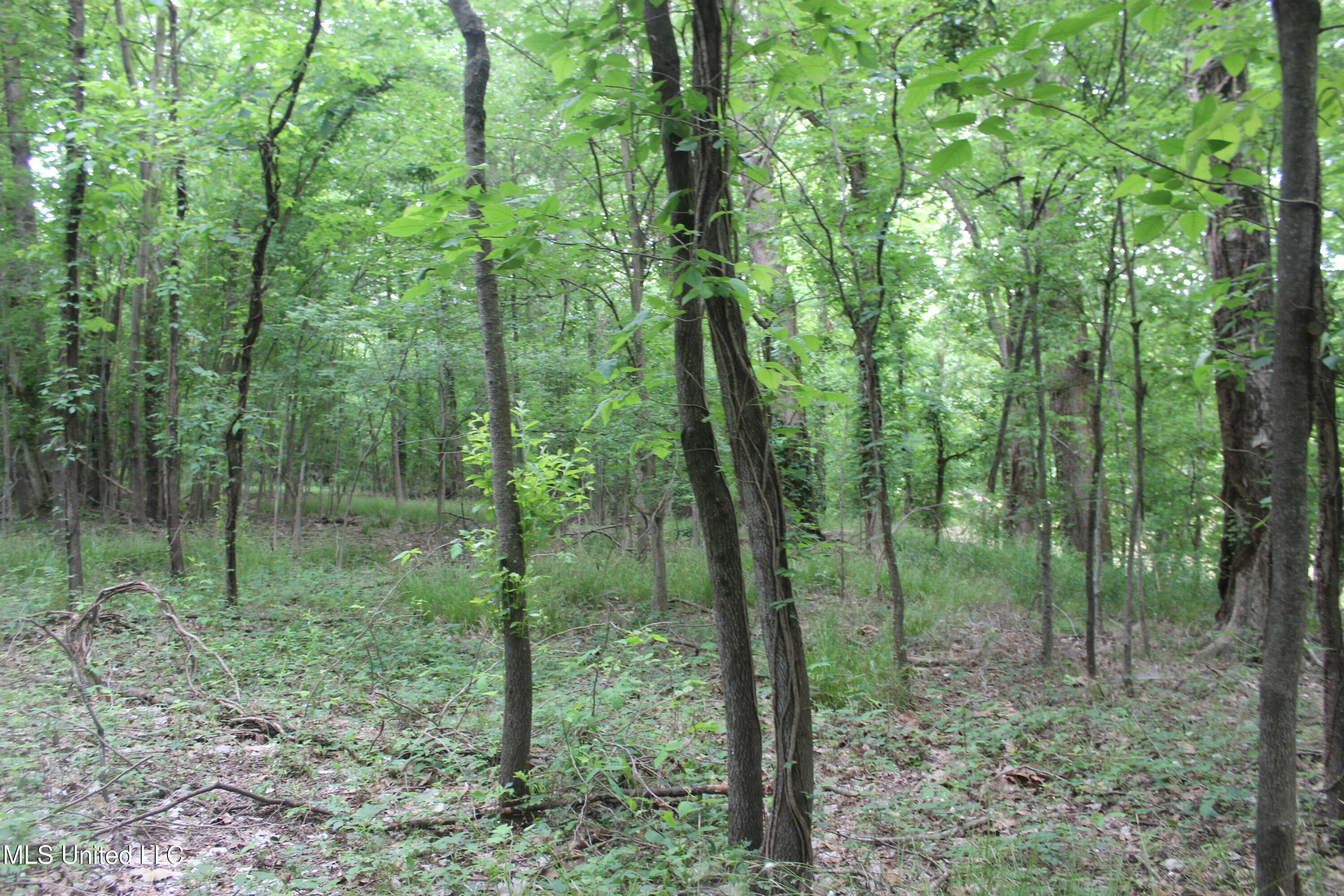 001 Levee Road Road Property Photo 30