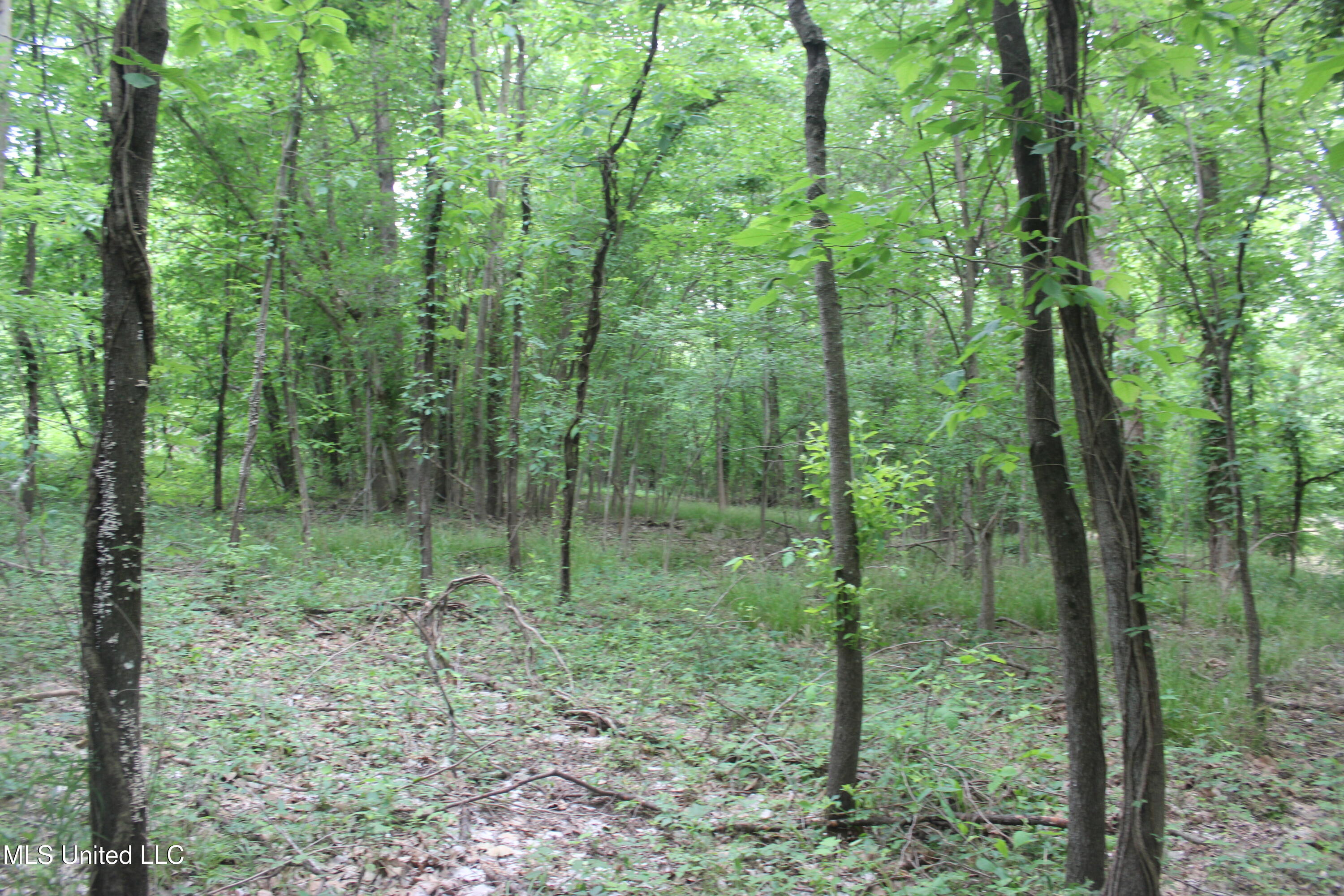 001 Levee Road Road Property Photo 31