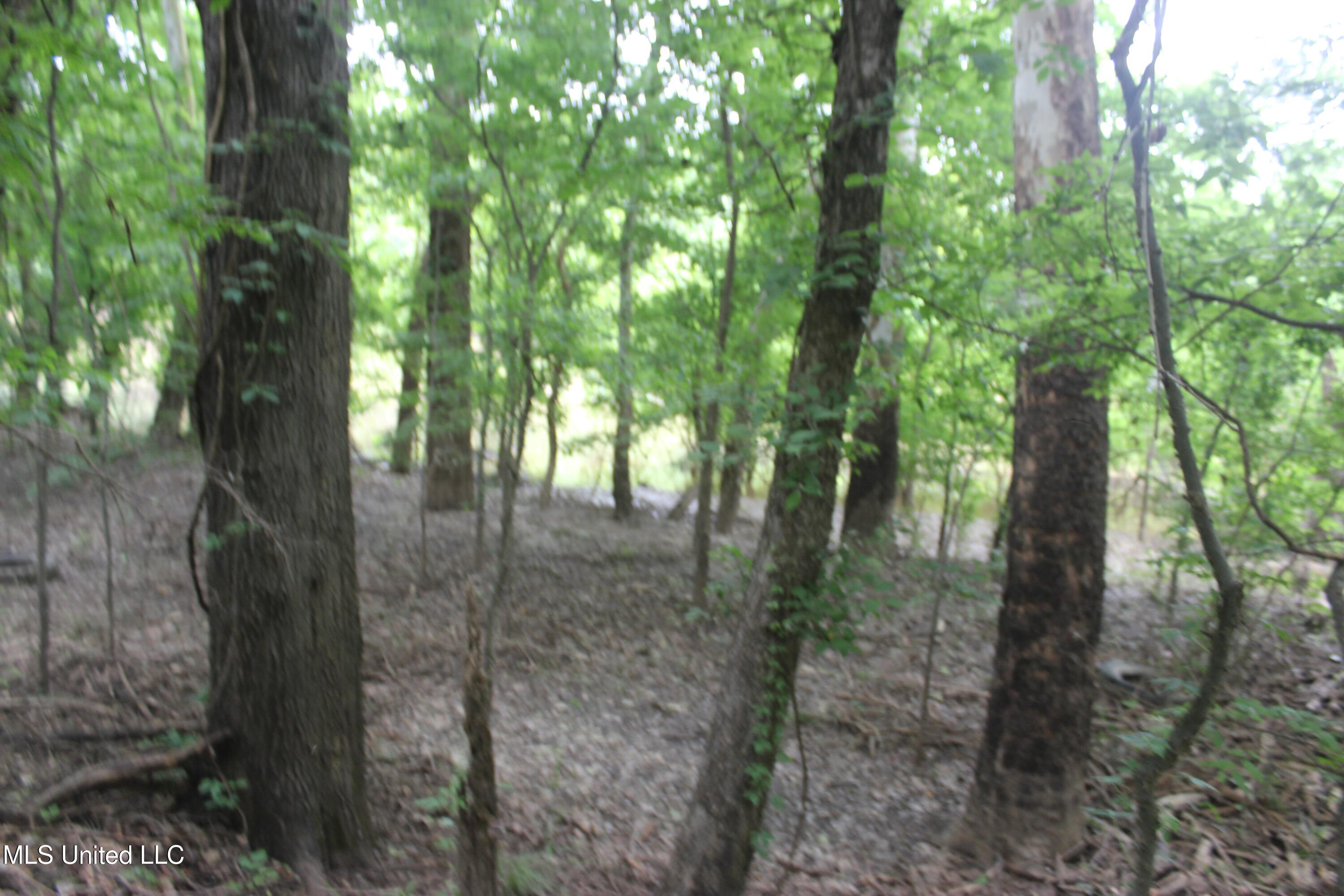 001 Levee Road Road Property Photo 32